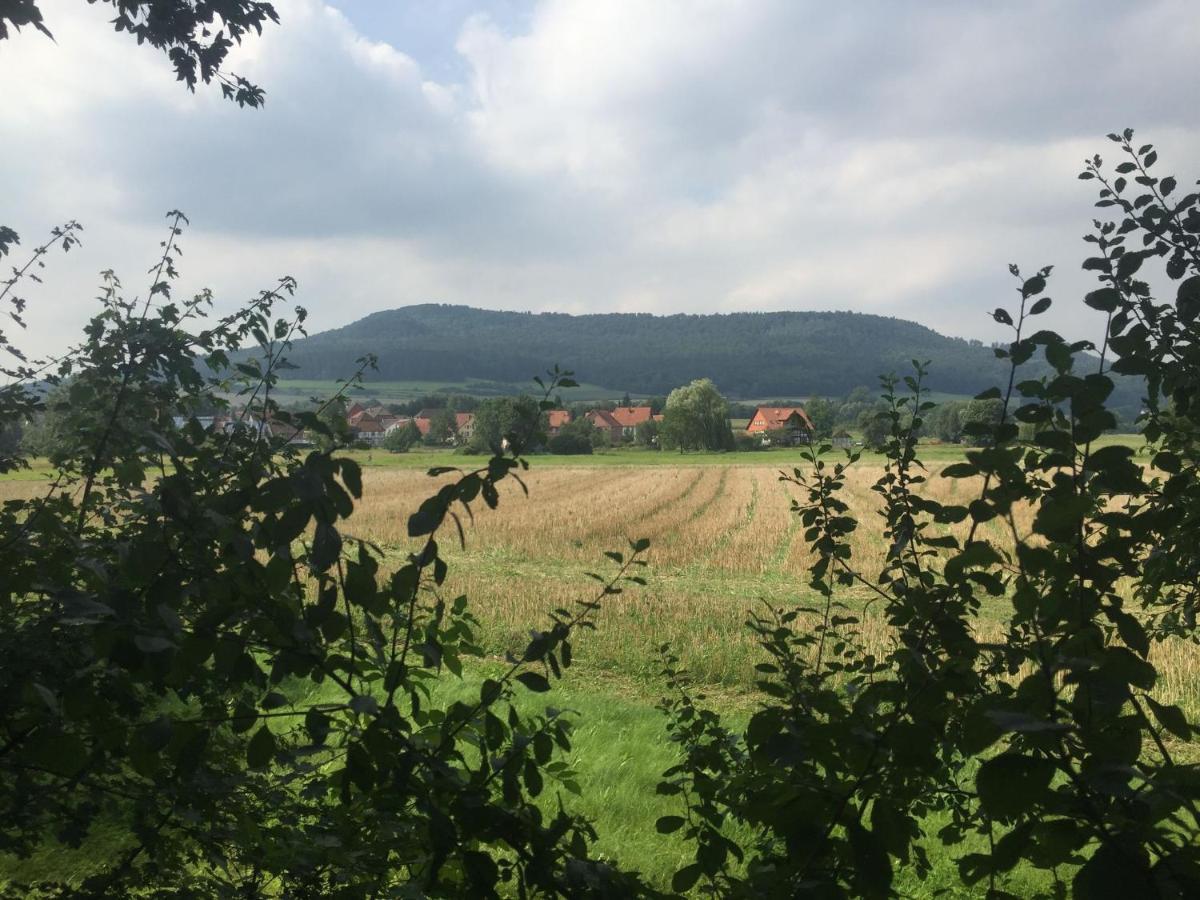Modern Holiday Home Near River In Amelgatzen Emmerthal 外观 照片